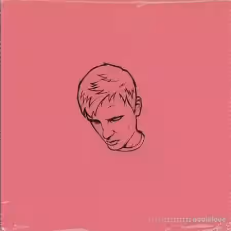 SamplePlug DG Drums I (Loop Kit) [WAV, MiDi] - Sample Pack Artwork