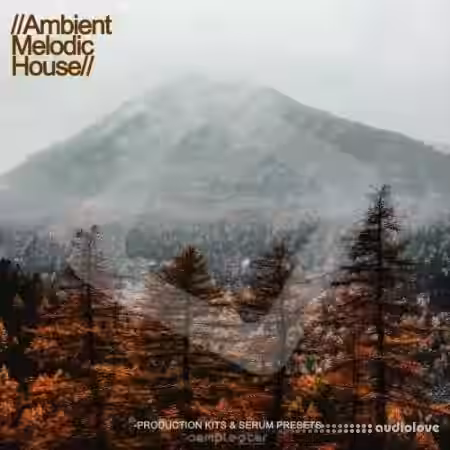 Samplestar Ambient Melodic House [WAV, MiDi, Synth Presets] - Sample Pack Artwork