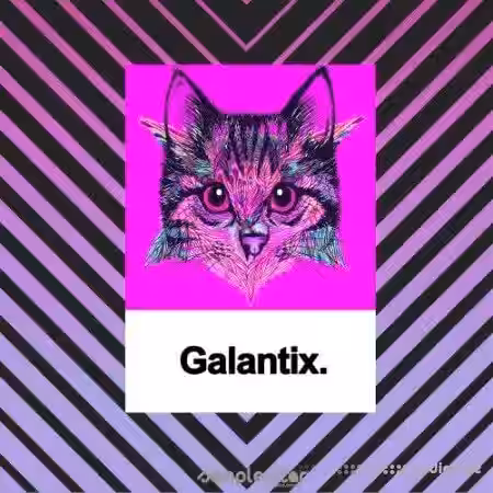 Samplestar Galantix [WAV, MiDi] - Sample Pack Artwork