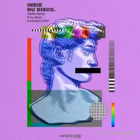 Samplestar Indie Nu Disco [WAV] - Sample Pack Artwork