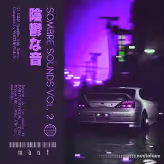SamplesWave Sombre Sounds Vol.2 [WAV]