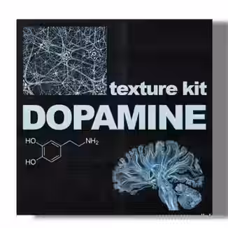 SamplesWave Textures And Accents Kit-Dopamine [WAV]
