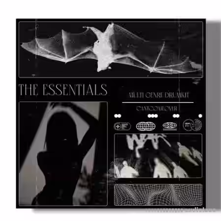 Sampleswave The Essentials Multigenre Drumkit [WAV] - Sample Pack Artwork