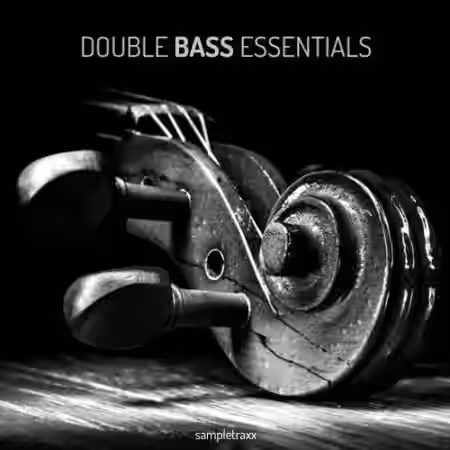 SampleTraxx Double Bass Essentials [KONTAKT, WAV] - Sample Pack Artwork