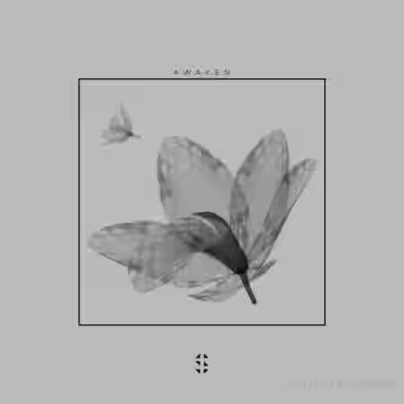 Samplified Awaken Sample Pack [WAV, MiDi] - Sample Pack Artwork