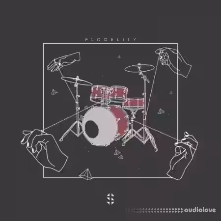 Samplified Flodelity [WAV, MiDi, Synth Presets] - Sample Pack Artwork