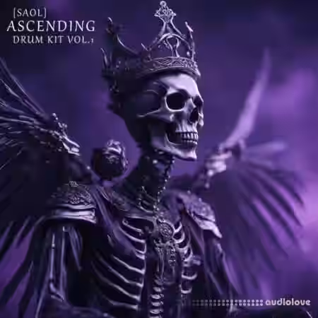 SAOL Ascending Drum Kit Vol.1 [WAV, MiDi, Synth Presets] - Sample Pack Artwork