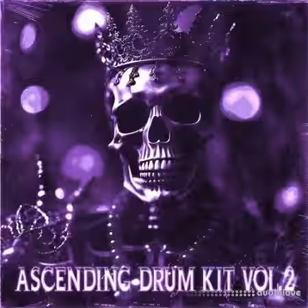 SAOL Ascending Drum Kit Vol.2 [WAV, MiDi, Synth Presets] - Sample Pack Artwork