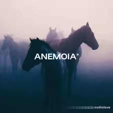 Sapjer Anemoia Soundkit [WAV] - Sample Pack Artwork