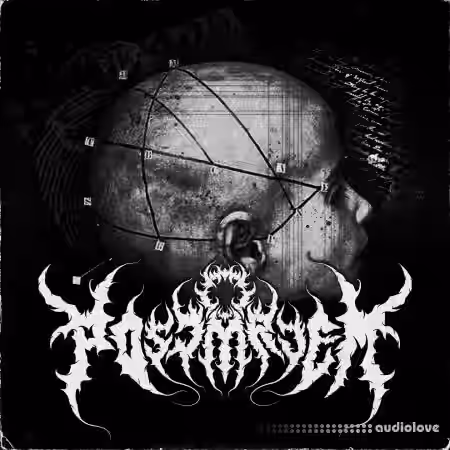 Savy Samples Baw The Symphony of The Saturated [WAV] - Sample Pack Artwork