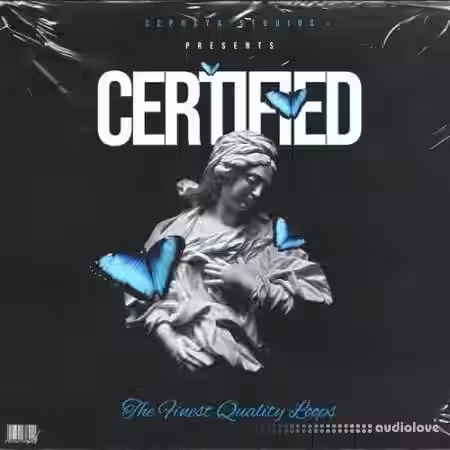 Sephxya Studios Certified [WAV] - Sample Pack Artwork