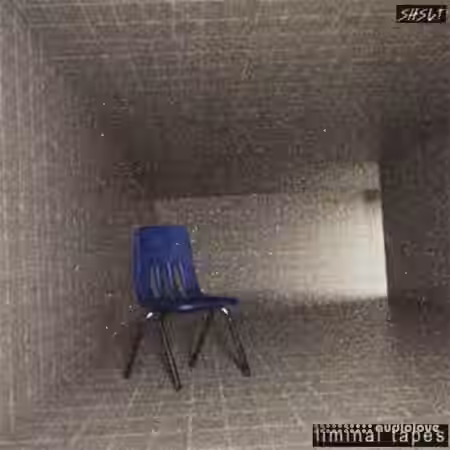 ShamanStems Liminal Tapes [WAV, Synth Presets] - Sample Pack Artwork