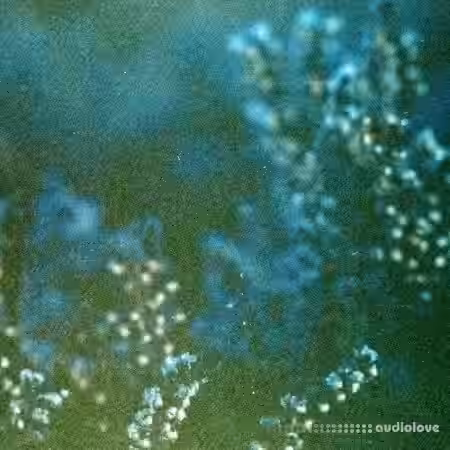 shameless. Distorted Ambience Sample Pack Vol.4 [WAV, Synth Presets] - Sample Pack Artwork