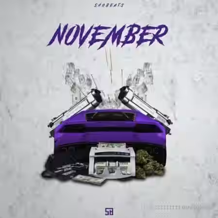 Shobeats November [WAV, MiDi, AiFF, Synth Presets] - Sample Pack Artwork