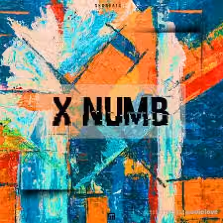 Shobeats X Numb [WAV, MiDi, Synth Presets] - Sample Pack Artwork