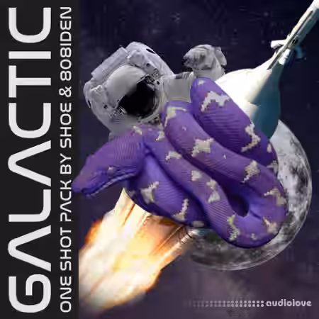 Shoe (130+) Galactic One Shot Kit [WAV] - Sample Pack Artwork