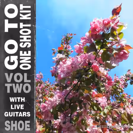SHOE Go To One Shot Kit Vol.2 [WAV] - Sample Pack Artwork