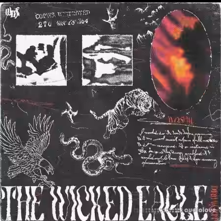 Sim The Wicked Eagle Kit [WAV] - Sample Pack Artwork