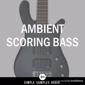 Simple Samples Audio Ambient Scoring Bass v1.1.0 [KONTAKT]