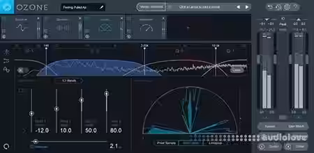 SkillShare Master Your Music With A Pro [TUTORiAL] - Sample Pack Artwork
