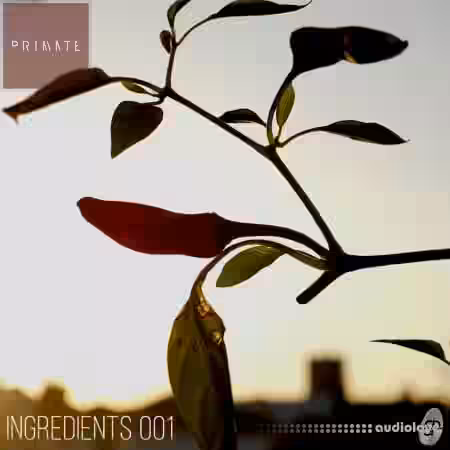 SmallPrint Ingredients 001 Primate [WAV] - Sample Pack Artwork