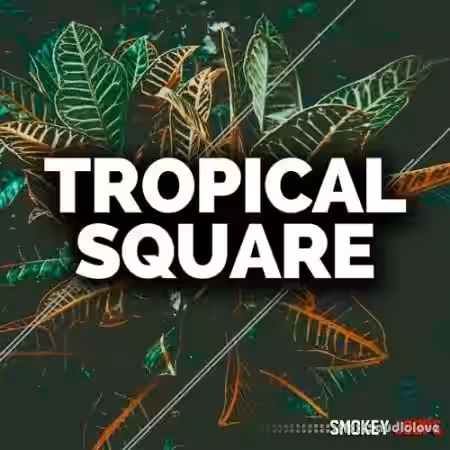 Smokey Loops Tropical Square [WAV, MiDi] - Sample Pack Artwork