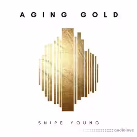 Snipe Young Aging Gold [WAV] - Sample Pack Artwork