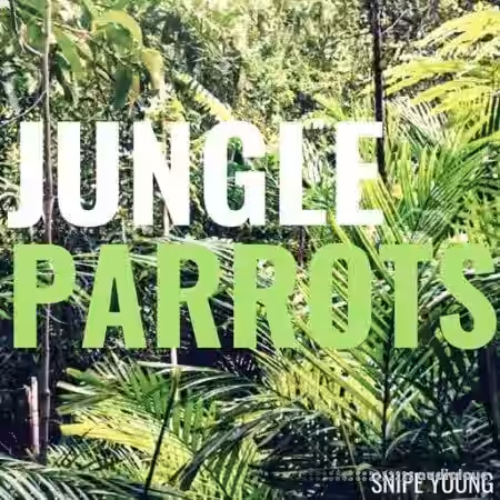 Snipe Young Jungle Parrots [WAV] - Sample Pack Artwork