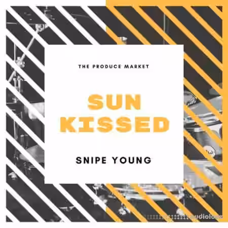 Snipe Young SunKissed [WAV] - Sample Pack Artwork