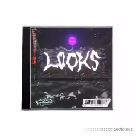 Snomed Looks (Oneshot Kit) [WAV] - Sample Pack Artwork