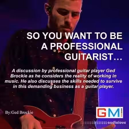 So You Want to Be a Professional Guitarist (Audiobook) - Sample Pack Artwork