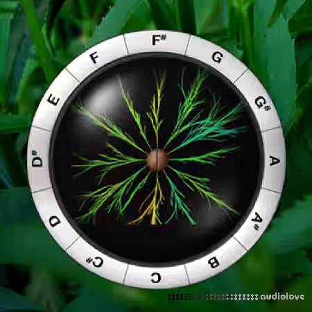 Sonic Charge Synplant v1.2.2 [WiN, MacOSX] - Sample Pack Artwork