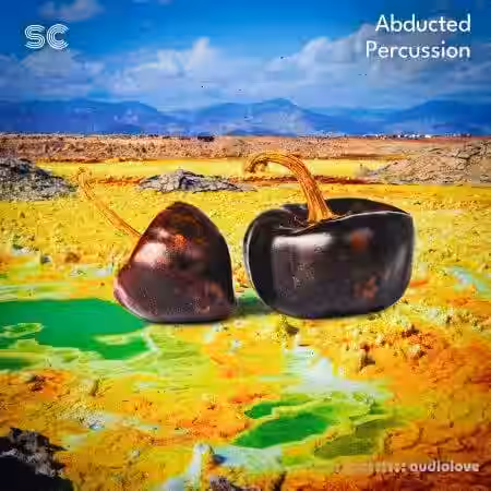 Sonic Collective Abducted Percussion [WAV] - Sample Pack Artwork