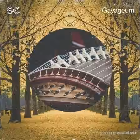 Sonic Collective Gayageum [WAV] - Sample Pack Artwork