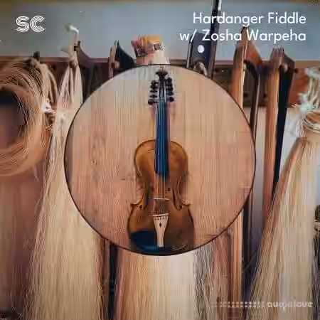 Sonic Collective Hardanger Fiddle w/ Zosha Warpeha [WAV] - Sample Pack Artwork