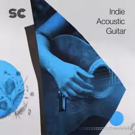 Sonic Collective Indie Acoustic Guitar [WAV] - Sample Pack Artwork
