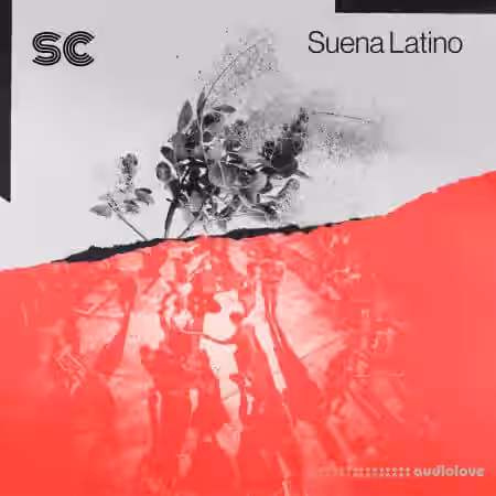 Sonic Collective Suena Latino [WAV, MiDi, Synth Presets] - Sample Pack Artwork