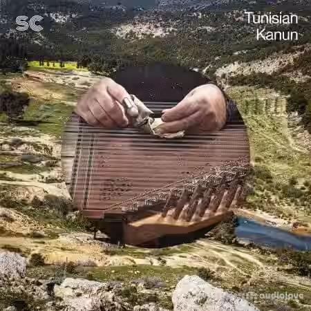Sonic Collective Tunisian Kanun [WAV] - Sample Pack Artwork