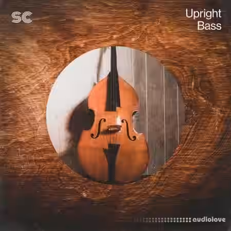 Sonic Collective Upright Bass [WAV] - Sample Pack Artwork