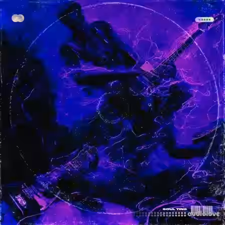 Sonics Empire Soul Ting [WAV] - Sample Pack Artwork