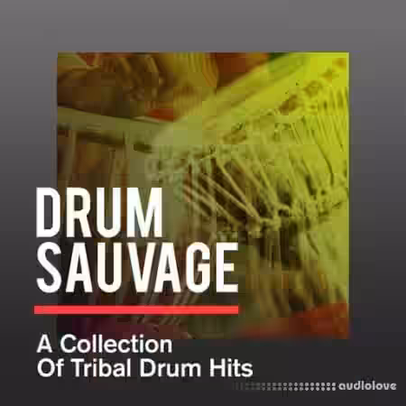 Sonicycle Sonicycle - Drum Sauvage - A Collection Of Tribal Drum Hits [WAV] - Sample Pack Artwork