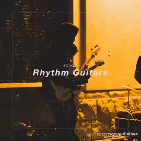 SONOIZ Rhythm Guitars [WAV] - Sample Pack Artwork