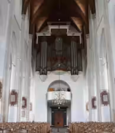 Sonus paradisi Doesburg Martinikerk Walcker Organ [Hauptwerk] - Sample Pack Artwork