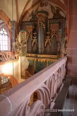 Sonus paradisi Kiedrich Virtual Organ Model [Hauptwerk] - Sample Pack Artwork