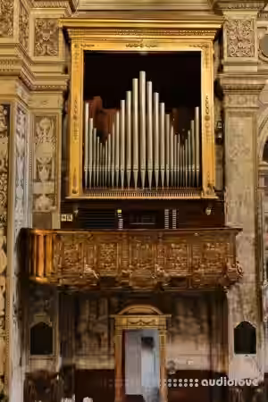 Sonus paradisi Piacenza Organo di Padre Davide [Hauptwerk] - Sample Pack Artwork
