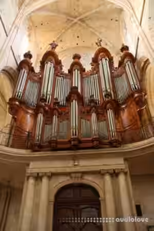 Sonus Paradisi St. Maximin Provence [Hauptwerk] - Sample Pack Artwork