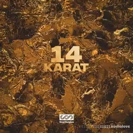 Soul Surplus 14 Karat [WAV] - Sample Pack Artwork