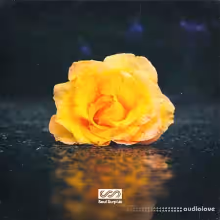 Soul Surplus Astra Hip-Hop Synthesis [Synth Presets] - Sample Pack Artwork