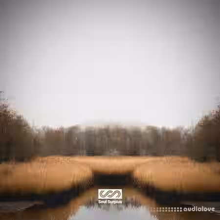 Soul Surplus Deep Marsh (Drum Kit) [WAV] - Sample Pack Artwork