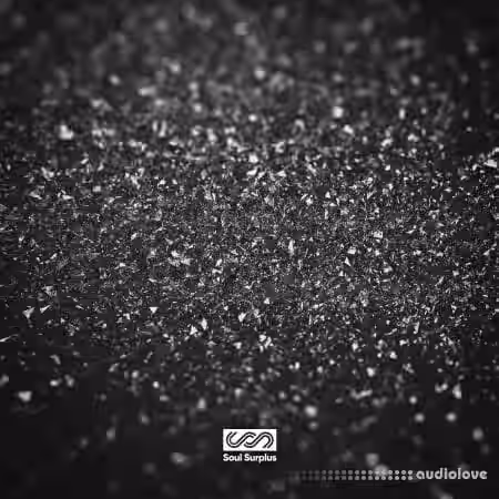Soul Surplus Jet Black Neo Soul [WAV] - Sample Pack Artwork